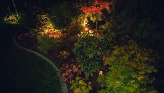Landscape Lighting