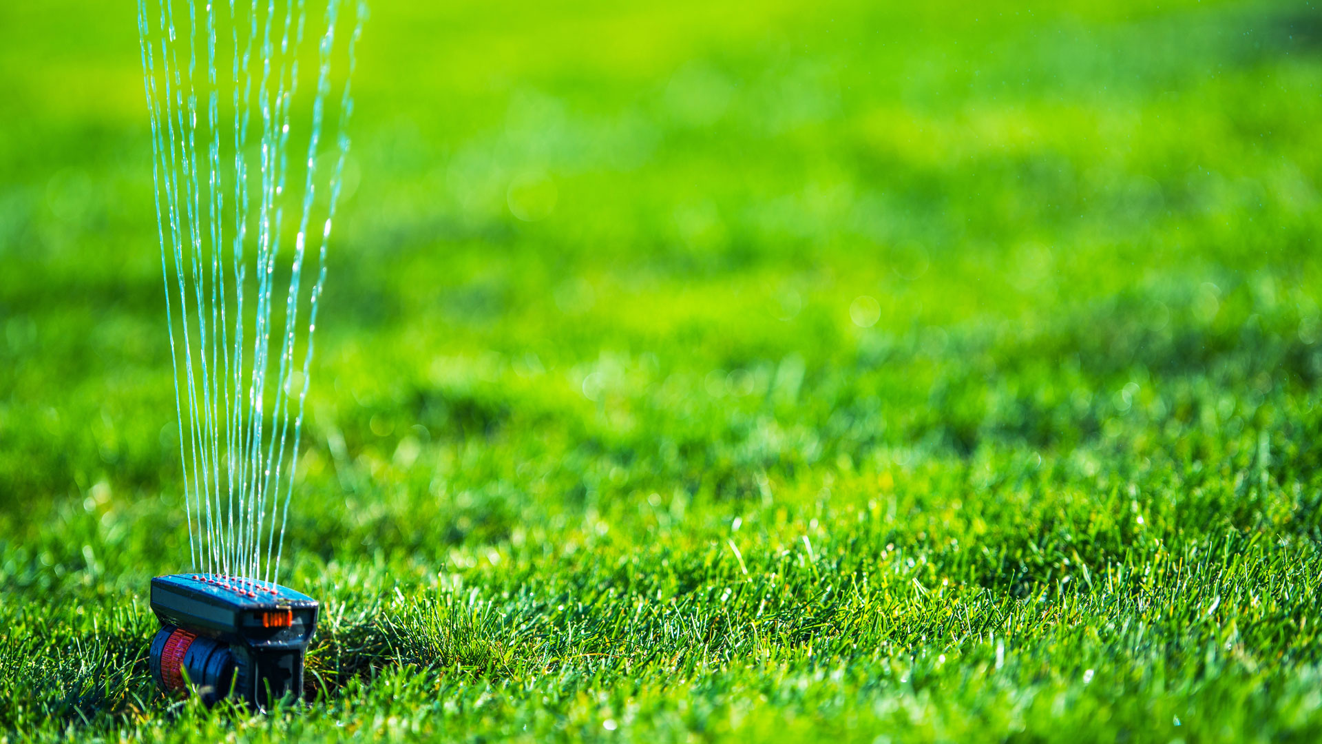 Ontario Irrigation & Sprinkler System Installation Water Your World