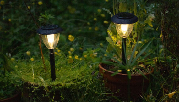 Two solar lights in a Canadian garden